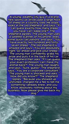The shepherd destroyed the city guy! 🐑💼😂 | 428