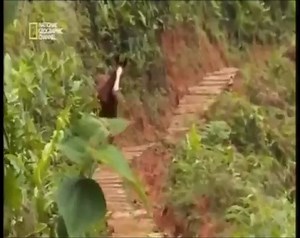 Documentaire | Inside – Dope en stock