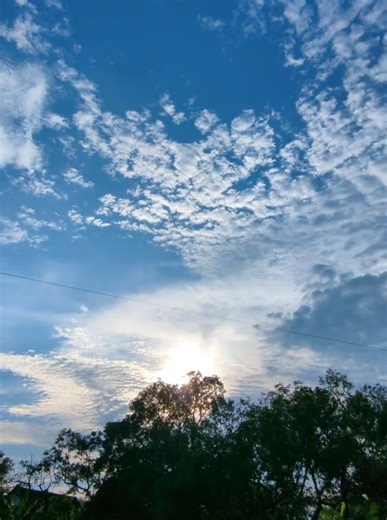 Ulasan Smartphone Android Terbaik dengan FHD 60fps