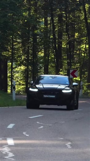 No music just pure joy just listen #audi #lovecars #rs7 #fyp