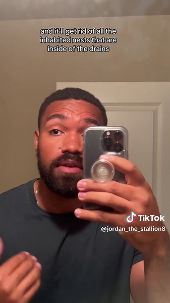 #stitch with @Budget Bytes #fypシ | drain flies