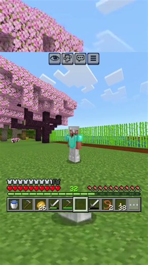 Started My First Base… But The Outline Looks Like a Mistake #minecraft