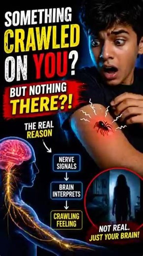 😳 Ever felt like something crawled on your skin… but nothing was there?