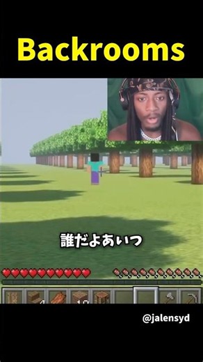 突然バックルームに飛ばされるホラゲーMOD