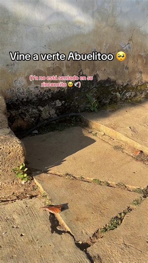 Emociones por mi Abuelito: Recuerdos y Nostalgia