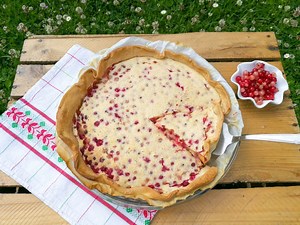Tarte aux groseilles