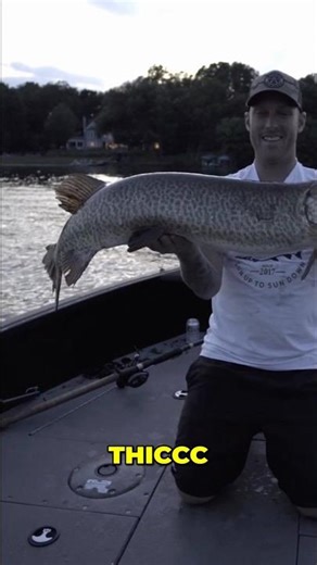 In Episode 2, Jon and Lukie Suzuki take on the St.Lawrence.! #muskyfishing