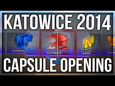 10x KATOWICE 2014 CAPSULE OPENING (THE iBUYPOWER HOLO DREAM)