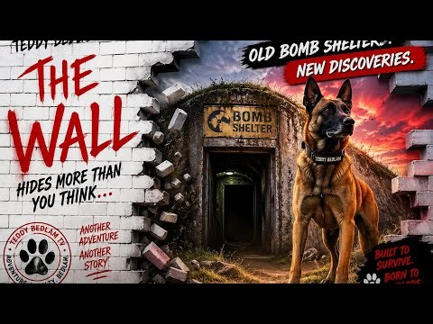 We found Hidden secret Bomb Shelters - Exploring with a highly intelligent Belgian Malinois