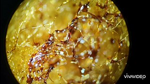 Do Cigarette Filters Actually Make Smoking Safer?