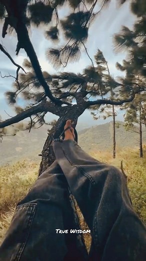 Sometimes,Silence is better than explanations to some people.❤️🍃🌿🍂 | True Wisdom