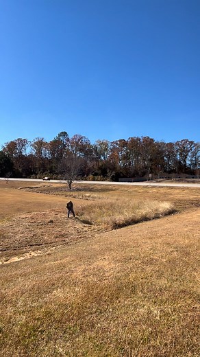 1.6K views · 11 reactions | E-Scapes “the best-laid plans of mice and men often go awry” #lawncare #landscaping #livetheyardlife | John Eric Grigsby | Facebook