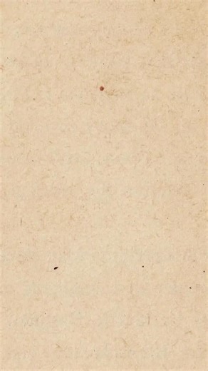 We’re celebrating Record Store Day on 18th April with a special exclusive release of Quarrelsome Moments: B-Sides and Rarities on vinyl to support independent record shops. Find your local participating store at recordstoreday.co.uk #RSD26 | Ian Broudie and the Lightning Seeds