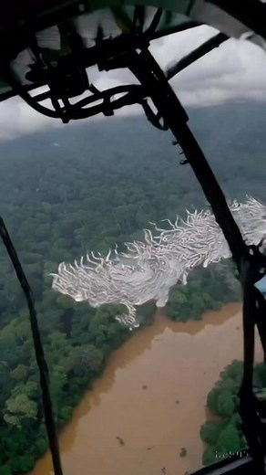 What’s Hiding Beneath the Amazon Waters? #AmazonMystery #RiverCreature #UnexplainedFootage #CaughtOnCamera #AmazonRiver #ParanormalVideos #MysteryCreature #ScaryFootage #TrendingNow #ViralShorts #DeepJungle #UnknownEntity #StrangeSightings | Nature.love