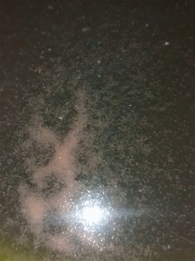 tutorial simple baca aja caption di video