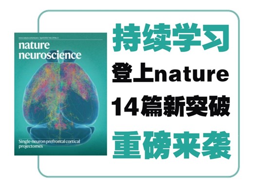 持续学习登上《nature》-14篇新突破重磅来袭！