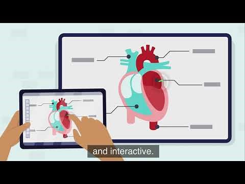 DisplayNote Montage, wireless presentation software made for the classroom.