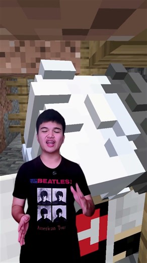 THIS ADDON WILL MAKE YOUR MINECRAFT EVEN BETTER #shorts #minecraft