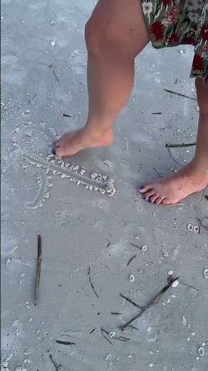 The sand at Siesta Key Beach is incredible #siestakey #siestakeybeach #sunsetbeach