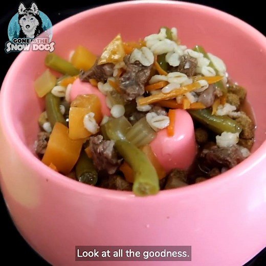 101K views · 5.3K reactions | How To Make DIY Beef Barley Soup for Your Dogs  | Gone to the Snow Dogs | Facebook