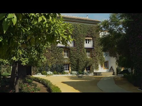 Palacio de Las Dueñas. Sevilla