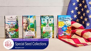 Plan Your Summer Garden Now with Burpee Seeds!