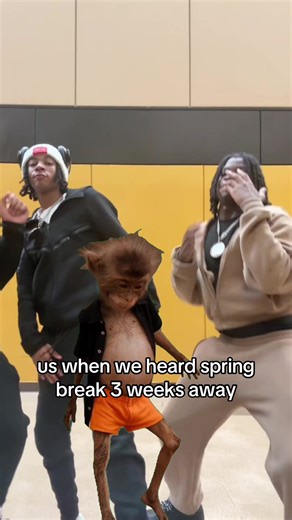 stevohiding (@stevohiding)’s video of spring break