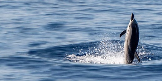 Our Multi-Asset Range