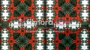 Baby Einstein - Baby Santa's Music Box Comparison