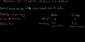Physical development in adolescence