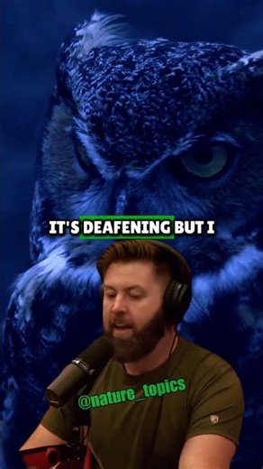 Jungle Sounds vs. City Noise: What Really Helps You Sleep?