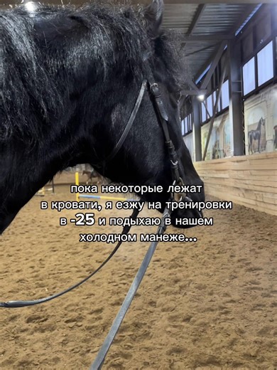 Horse Riding Recommendations for Beginners