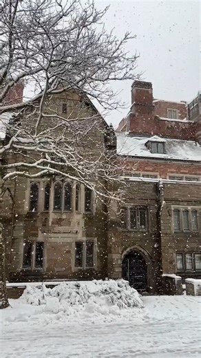 1.1K views · 54 reactions | The day before the official start of spring, take a last look at a quintessential winter scene from earlier this year. | Yale Law School | Facebook