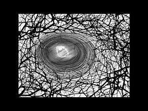 Nine Inch Nails - The Downward Spiral - Full Album Recreation