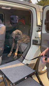 12K views · 426 reactions | Hi! It’s Anders!! Guess what?...