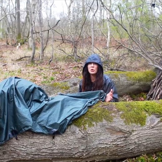 Sleeping in a Fallen Tree ❄️🌳 Frosty Sub-Zero Wild Camping with Small Tarp | WildBeare
