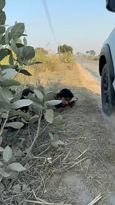 3.1M views · 12K reactions | "When Indian mythology meets comedy: epic laughter! ️ #MythologyLaughs #IndianMythology #DesiComedy"#france #HumorMe #FunnyAF #LOLz #spain #HahaMoment #LaughOutLoud #england #TrollMaster | زوامل عيسى الليث | Facebook