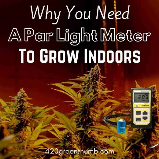Best PAR Meter For Cannabis In 2025 | Buyers Guide | 420 Green Thumb
