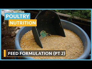 Poultry Nutrition (Lesson 11) - Formulation of a Compound Feed part 2