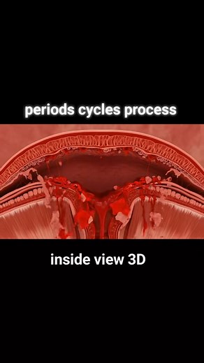 2.9K views · 1.1K reactions | Your period is not a problem — it’s your body’s superpower. ✨” #PeriodTalk #MenstrualHealth #CycleCare #WomensHealth #PeriodAwareness #NormalizePeriods #HormoneHealth #PeriodTips #FlowWithIt #WellnessForHer #ViralReels #BodyEducation #HealthFacts #LearnWithMe #ReelKnowledge #ScienceTok #EducationalReels #EmpowerYourself #HealthForAll #WomenSupportingWomen | Explain Surgery | Facebook