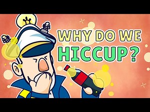 Why Do We Hiccup
