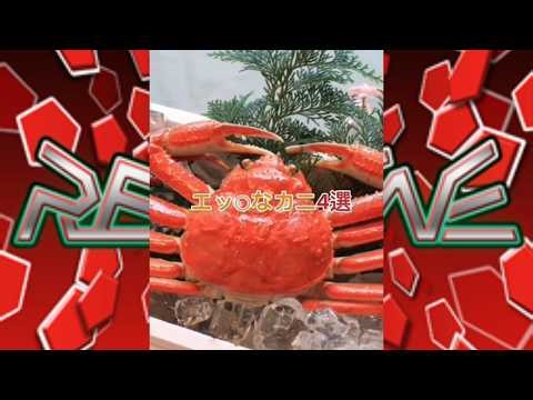 【合作単品】エッ○なREDZONE10選