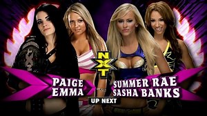 | NXT (October/16/2013) | | WWE Summer Rae - Fan Club