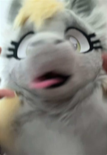 My Little Pony Furry Feet Adventures