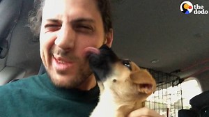 These three guys went on the craziest road trip to help this mother dog and her puppies find a home. But it was worth every single second to see them meet their new families for the first time 😍 | The Dodo