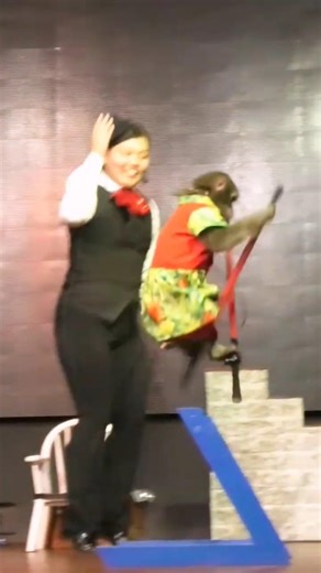 3 Consecutive Stilt Jumps! 😲🐒 / 竹馬で3連続ジャンプ！😲🐒 #shorts