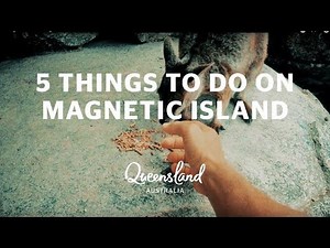 5 things to do on Queensland's Magnetic Island