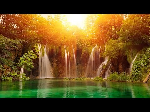 Copyright-free background music | copyright-free nature video | Nature video free download | Nature
