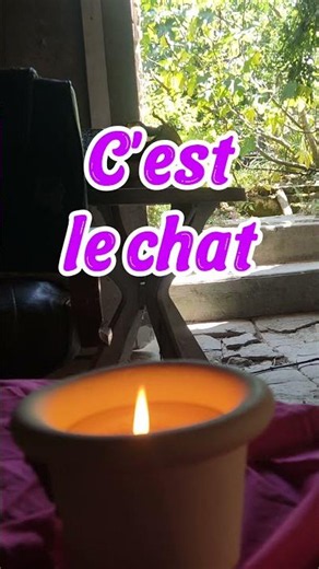 Les Hirondelles communiquent : le danger