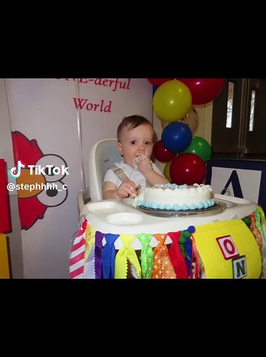 Elmo/Sesame Street Birthday Party Highlights